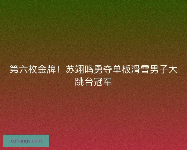 第六枚金牌!苏翊鸣勇夺单板滑雪男子大跳台冠军 第六枚金牌!苏翊鸣勇夺单板滑雪男子大跳台冠军